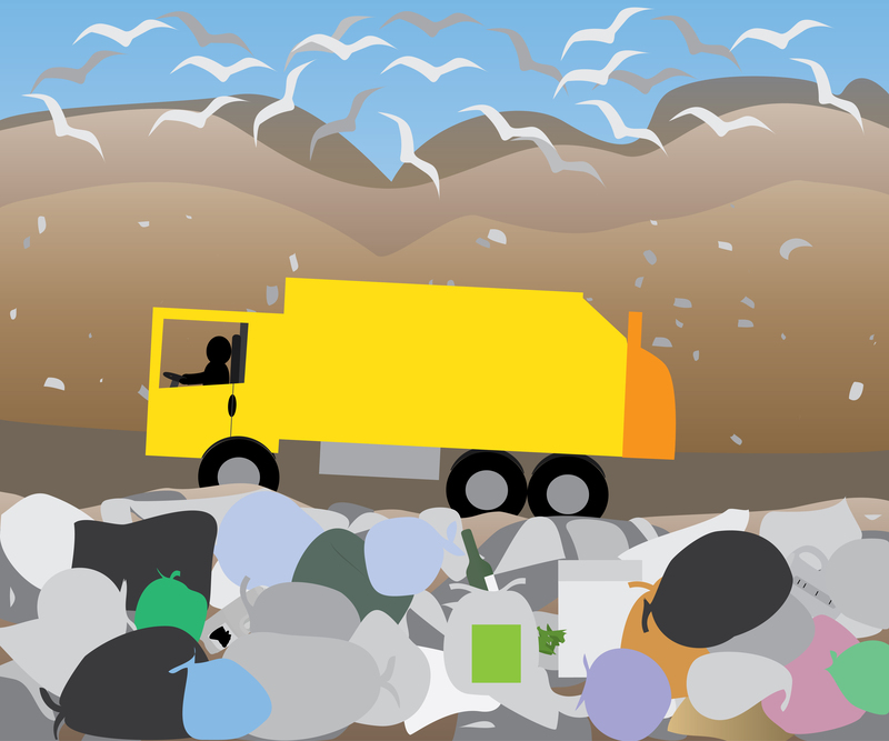 Plastic Recycling: Turning Waste into Reusable Material