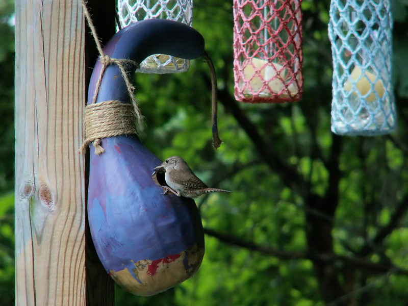 rubbish removal rubbish clearance